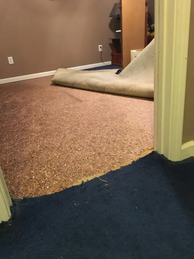 Carpet pad removal revealing water damage during Water Mitigation Services in Delhi